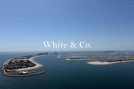 2 Bedroom Apartment for Sale in Dubai Harbour, Dubai - Full Palm Views | High Floor | Upgraded 2 Bedroom Apartment for Sale in Dubai Harbour, Dubai - Full Palm Views | High Floor | Upgraded