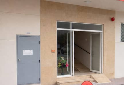 2 Schlafzimmer Wohnung zum zur Miete in Al Nuaimiya, Ajman - WhatsApp Image 2026-05-12 at 10.27. 43 AM. jpeg