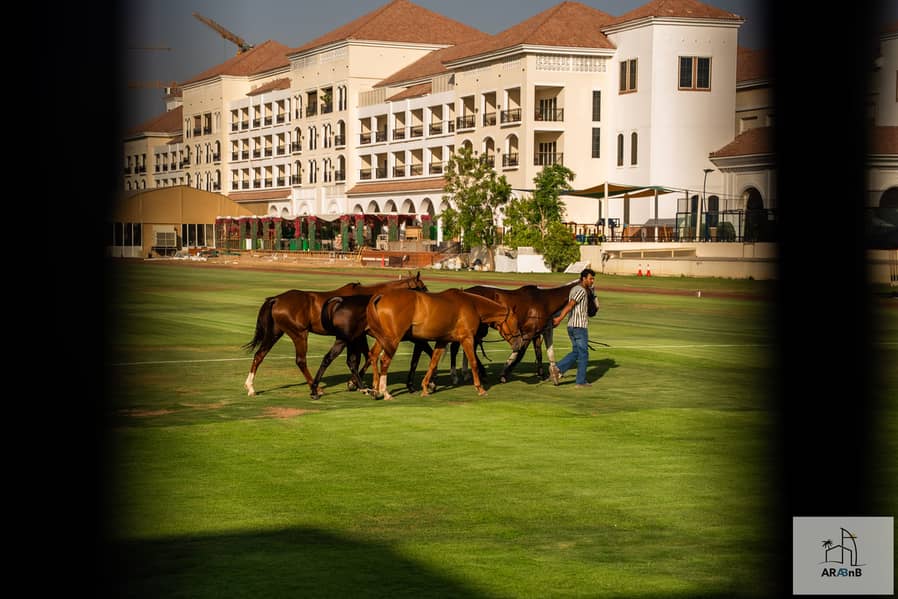 66 76 - Al Habtoor Polo Villa-76. jpg