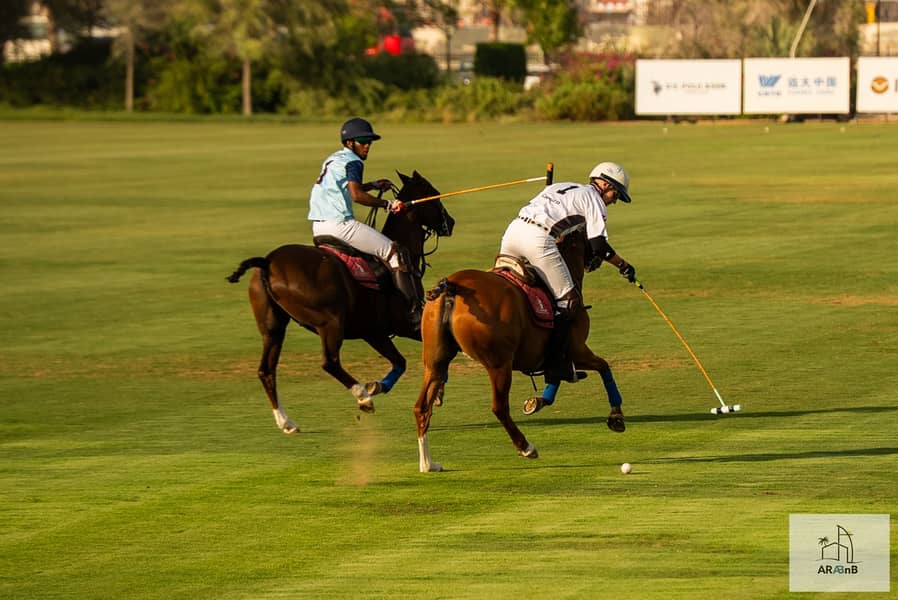67 77 - Al Habtoor Polo Villa-77. jpg