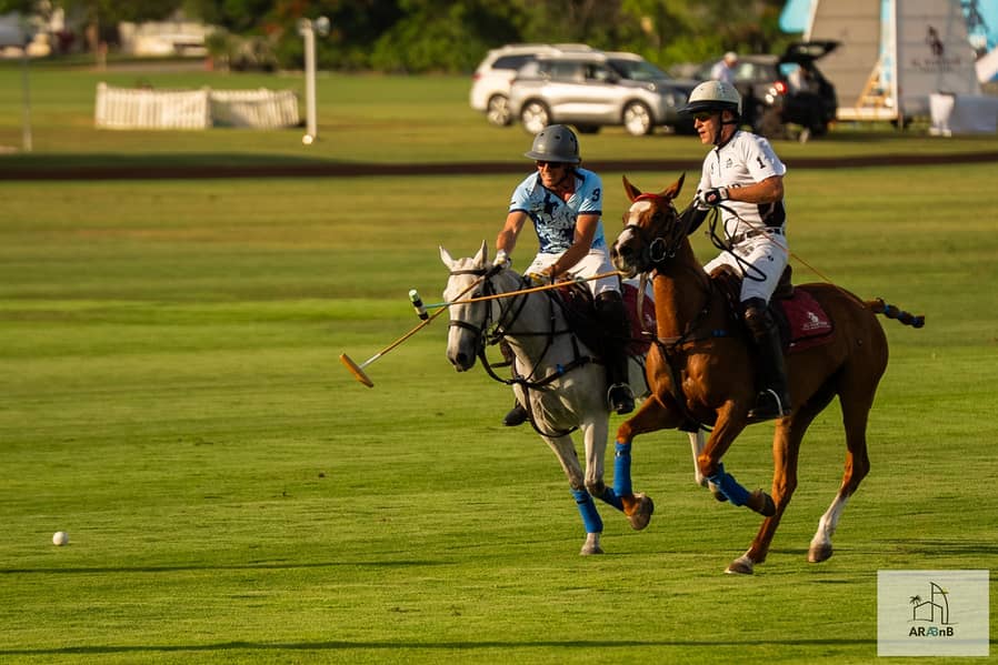68 78 - Al Habtoor Polo Villa-78. jpg