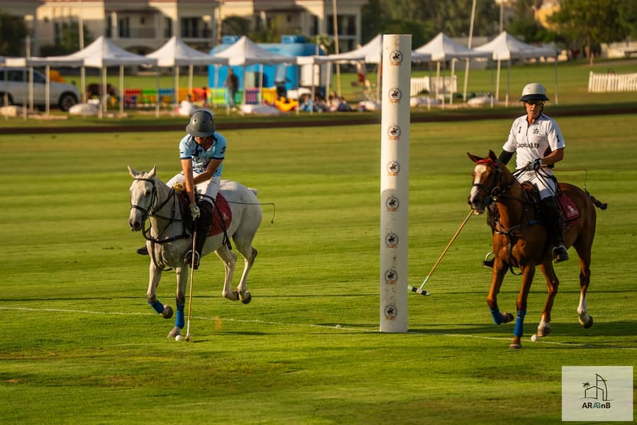 69 79 - Al Habtoor Polo Villa-79. jpg