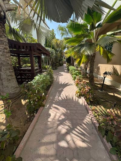 2 Bedroom Apartment for Rent in Al Khan, Sharjah - WhatsApp Image 2026-05-12 at 8.19. 28 PM (1). jpeg 2 Bedroom Apartment for Rent in Al Khan, Sharjah - WhatsApp Image 2026-05-12 at 8.19. 28 PM (1). jpeg