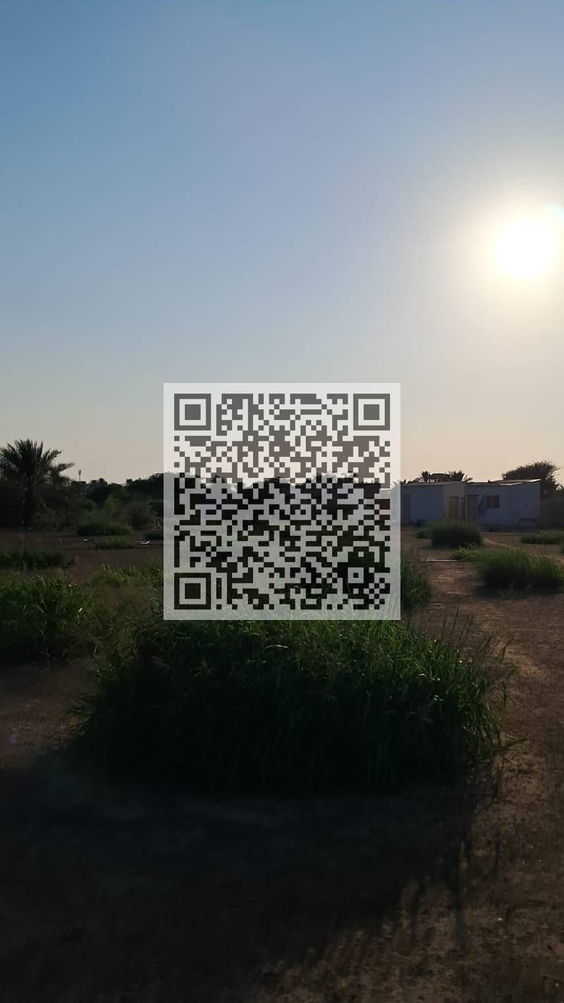 12 WhatsApp Image 2024-11-13 at 9.57. 40 PM. jpeg