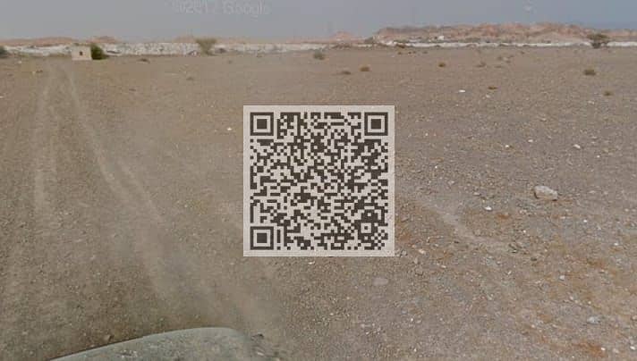 2 29ef5e99-ed0e-4543-a0a4-dade4e0d142d. jpg