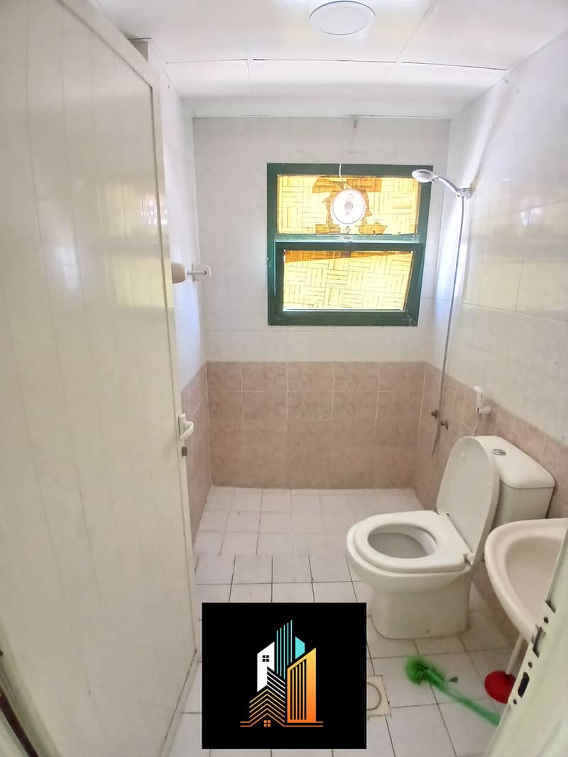 3 64979. jpg