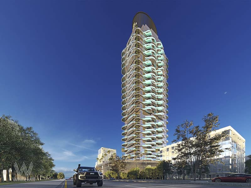 3 image-1. jpg