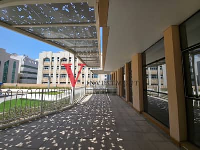 3 Bedroom Apartment for Rent in Al Khalidiyah, Abu Dhabi - photo_2026-03-20_08-33-39 (2). jpg