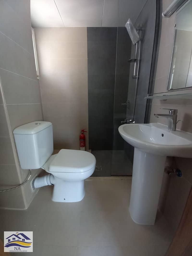 6 353645. jpg