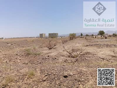 Plot for Sale in Al Manama, Ajman - WhatsApp Image 2026-05-17 at 13.18. 35. jpeg