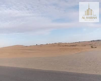 Plot for Sale in Muzairah, Sharjah - WhatsApp Image 2023-01-22 at 11.49. 21 AM (1). jpeg