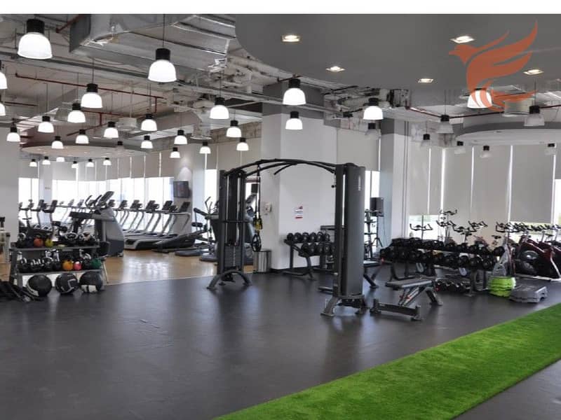 3 gym2. jpg