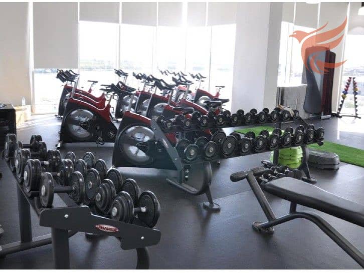 4 gym4. jpg