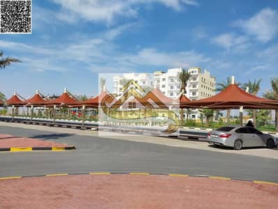 2 Bedroom Flat for Sale in Al Yasmeen, Ajman - 9e9dd87d-8ba1-486f-95a8-05f35040acf3 - Copy. jpg 2 Bedroom Flat for Sale in Al Yasmeen, Ajman - 9e9dd87d-8ba1-486f-95a8-05f35040acf3 - Copy. jpg