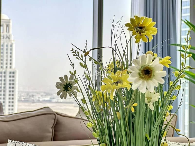 5 images image img