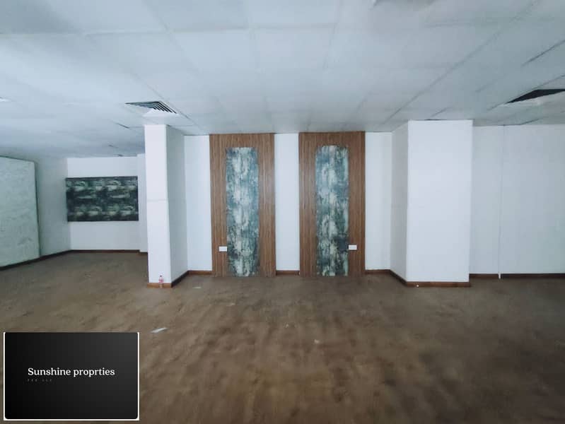8 213088. jpg