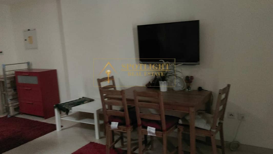 Exquisite Fully Furnished Studio For Rent Downtown Exquisite Fully Furnished Studio For Rent Downtown