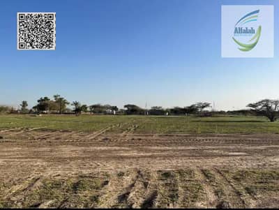 ارض سكنية للبيع في المنامة، عجمان - WhatsApp Image 2026-05-18 at 11.59. 43 PM. jpeg ارض سكنية للبيع في المنامة، عجمان - WhatsApp Image 2026-05-18 at 11.59. 43 PM. jpeg