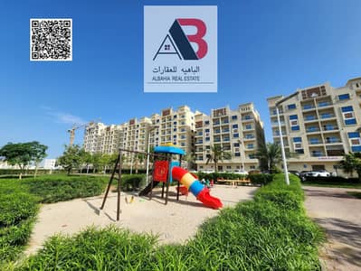 1 Bedroom Flat for Rent in Al Yasmeen, Ajman - WhatsApp Image 2026-04-24 at 4.09. 18 PM. jpeg 1 Bedroom Flat for Rent in Al Yasmeen, Ajman - WhatsApp Image 2026-04-24 at 4.09. 18 PM. jpeg