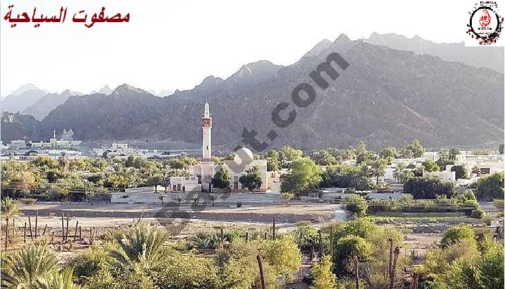 At a price of (94) thousand residential land owned by Masfout tourism on the Hatta Oman road government land