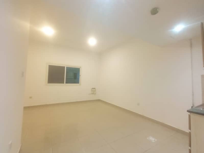 3 155105. jpg