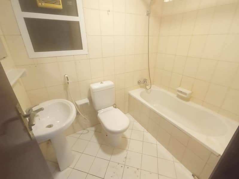 5 155117. jpg