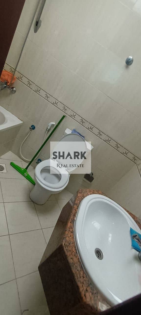 11 WhatsApp Image 2026-05-13 at 4.15. 22 AM. jpeg