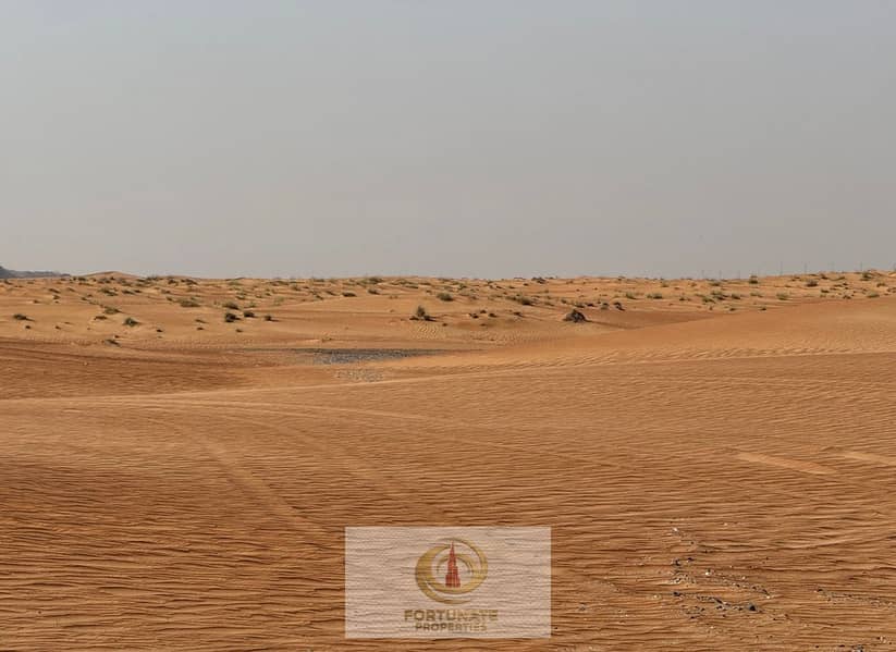 5 IMG_2381. PNG