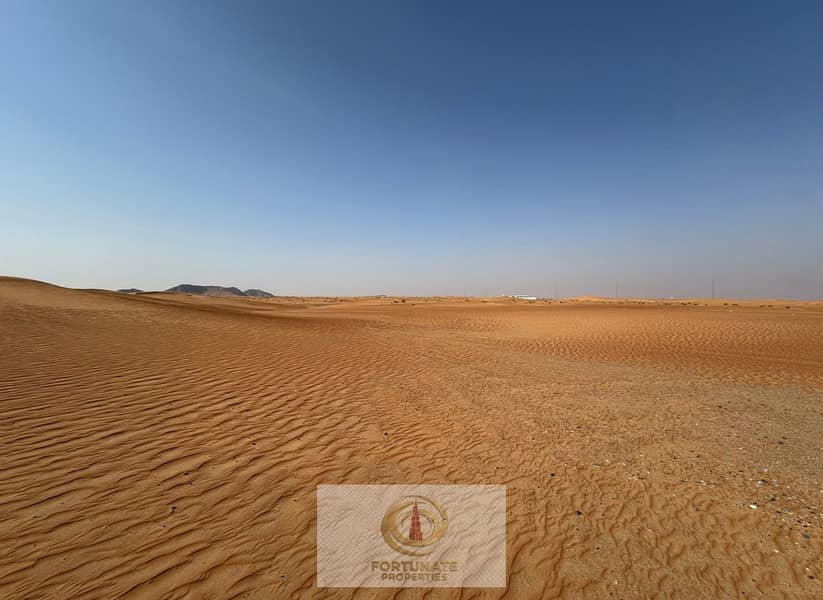 6 IMG_2379. PNG