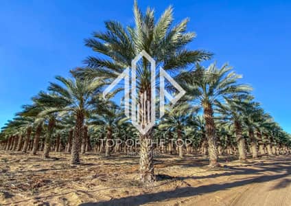 Other Commercial de  à à vendre à Al Ajban, Al Ain - image_0