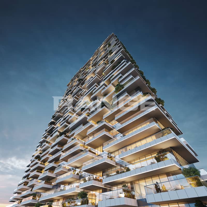 21 Safa 3 - Look Up view Night copy. jpg