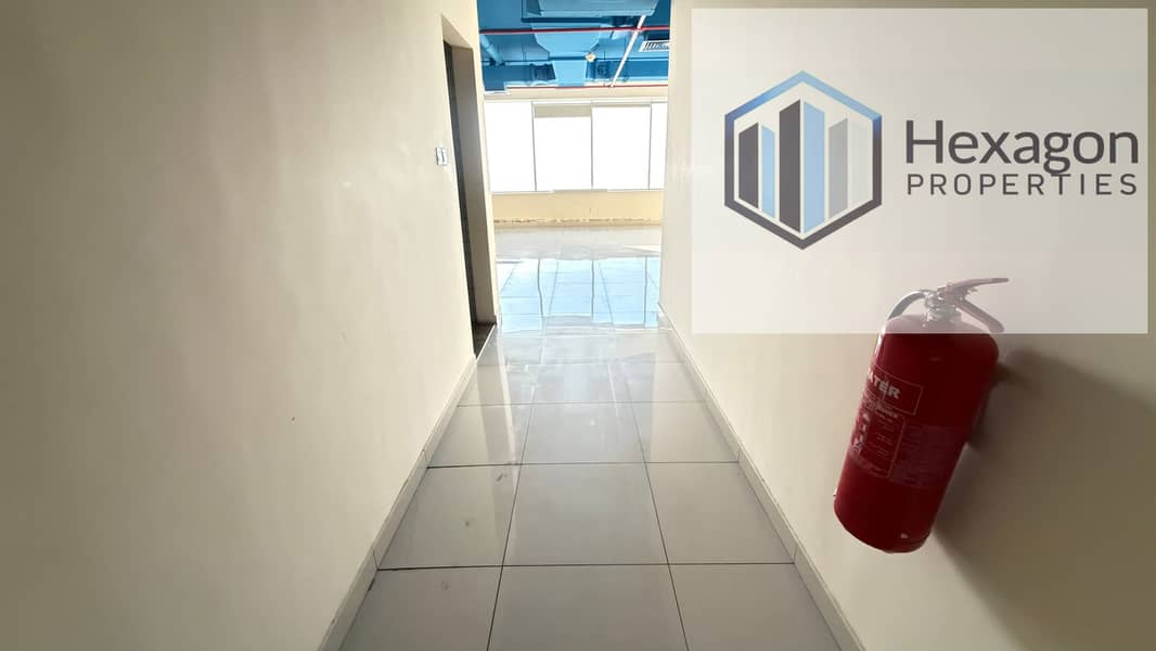 5 IMG_0231. png