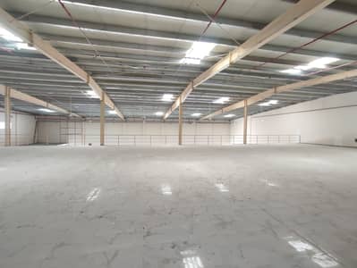 Showroom for Rent in Al Jurf, Ajman - WhatsApp Image 2026-05-23 at 10.27. 52 AM (1). jpeg