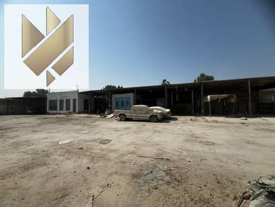 Industrial Land for Rent in Industrial Area, Sharjah - bc8d3cfd-8b73-4351-9ca9-4f6a4ec150df. jpg