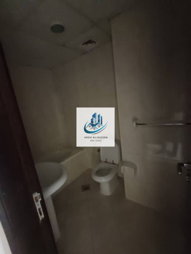 12 3908. jpg