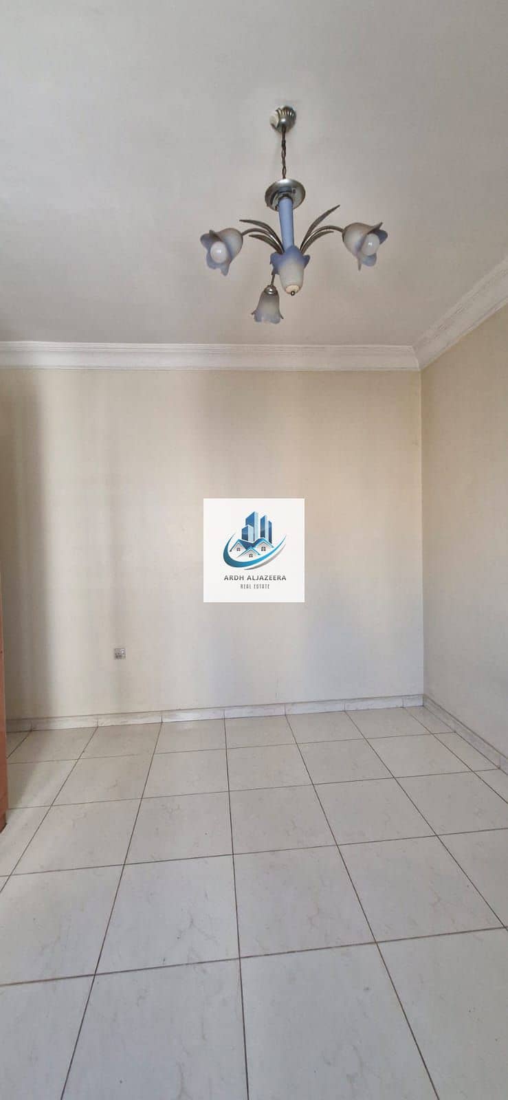 4 7289. jpg