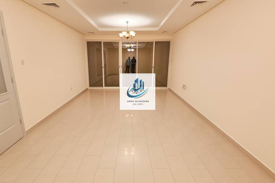 5 4569. jpg