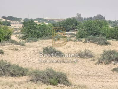 Plot for Sale in Hoshi, Sharjah - WhatsApp Image 2026-05-24 at 12.00. 46 PM. jpeg