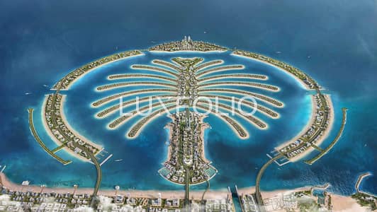 ارض سكنية  للبيع في نخلة جبل علي، دبي - ارض سكنية في سعفة P،نخلة جبل علي 48500000 درهم - 15300663