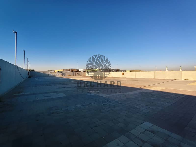3 42381. jpg