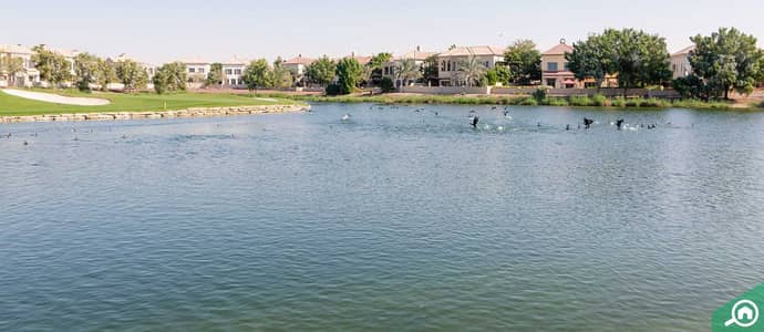 Top areas for buying a villa in Jumeirah Golf Estates