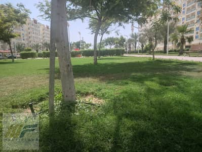 1 Bedroom Apartment for Sale in Al Yasmeen, Ajman - WhatsApp Image 2026-04-25 at 2.37. 37 AM. jpeg