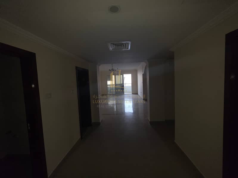 8 709775. jpg