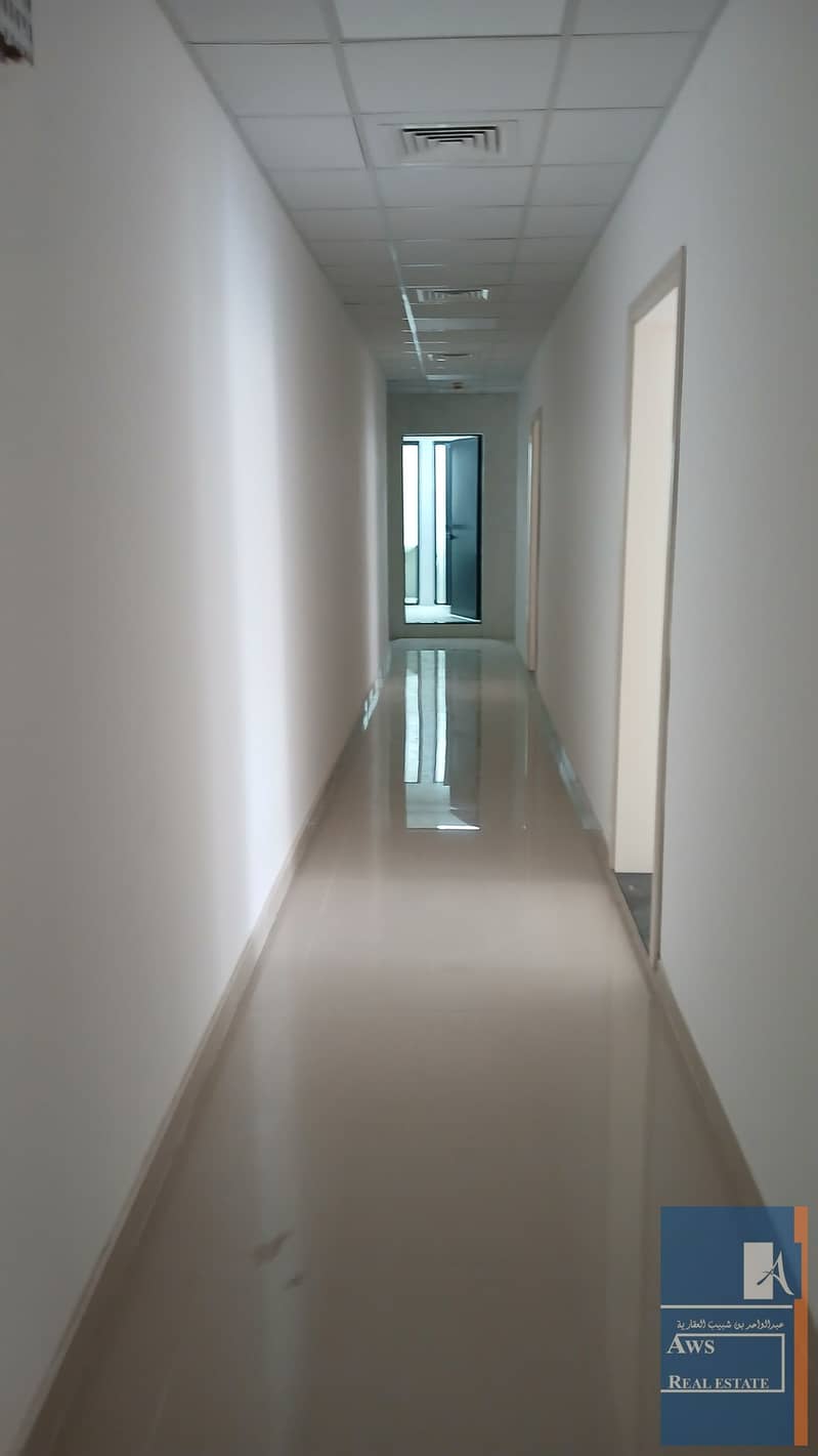 6 20260223_114350. jpg