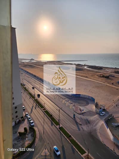 Studio for Rent in Corniche Ajman, Ajman - WhatsApp Image 2026-04-11 at 19.38. 37. jpeg Studio for Rent in Corniche Ajman, Ajman - WhatsApp Image 2026-04-11 at 19.38. 37. jpeg