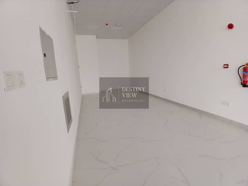 3 49729. jpg
