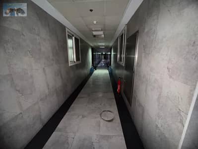 2 Bedroom Flat for Rent in Al Nuaimiya, Ajman - WhatsApp Image 2026-05-31 at 15.31. 13. jpeg
