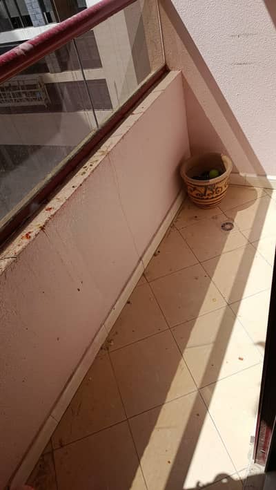 2 Bedroom Flat for Rent in Al Khan, Sharjah - WhatsApp Image 2026-05-31 at 10.43. 54. jpeg 2 Bedroom Flat for Rent in Al Khan, Sharjah - WhatsApp Image 2026-05-31 at 10.43. 54. jpeg