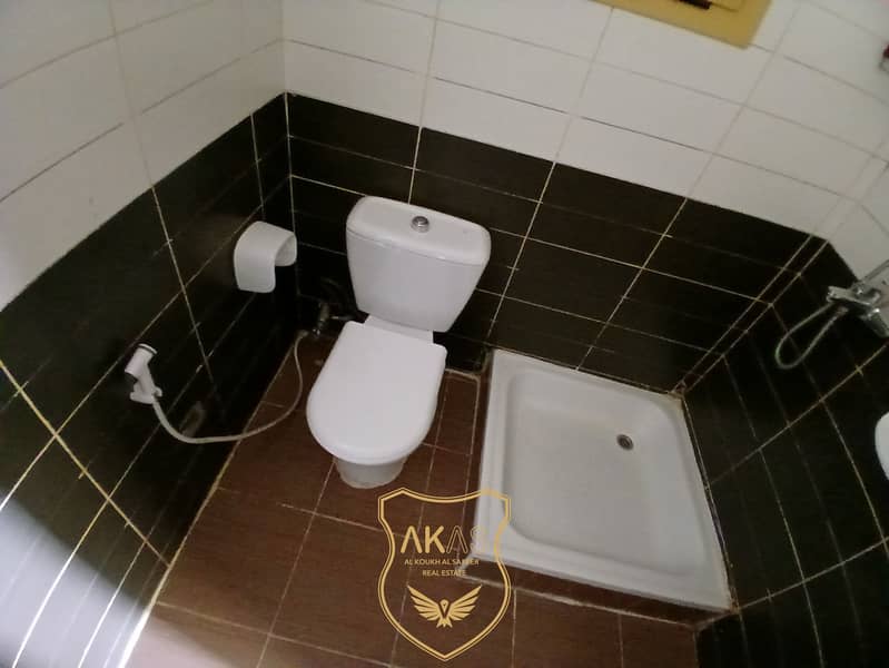 8 43901. jpg