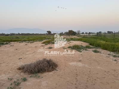 Mixed Use Land for Sale in Al Mukawwrah, Ras Al Khaimah - 1. jpeg Mixed Use Land for Sale in Al Mukawwrah, Ras Al Khaimah - 1. jpeg